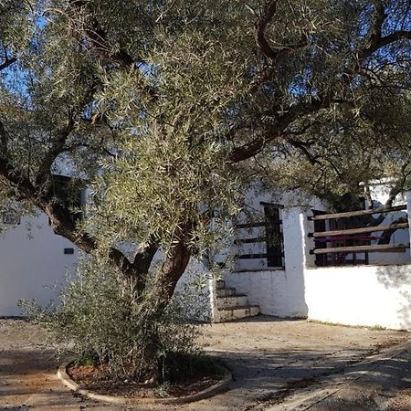Gateway To The Alpujarras, 'Cortijo Derry' Orgiva Exterior photo