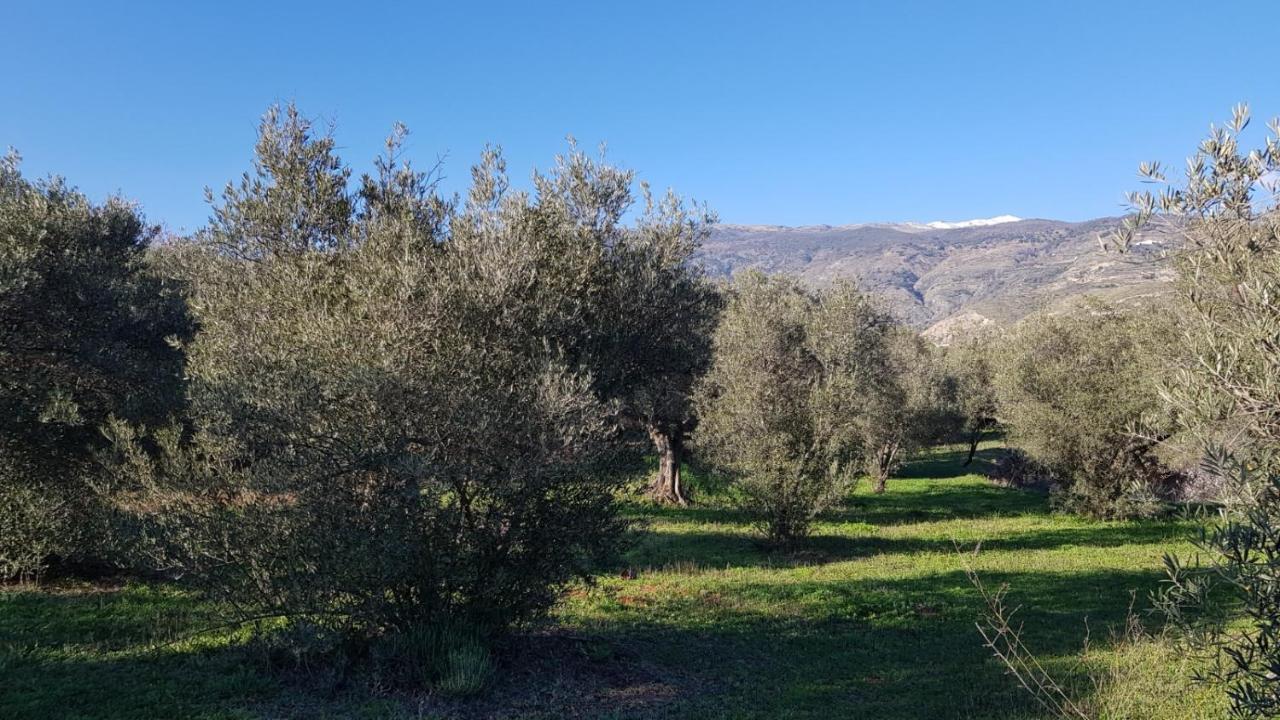 Gateway To The Alpujarras, 'Cortijo Derry' Orgiva Exterior photo
