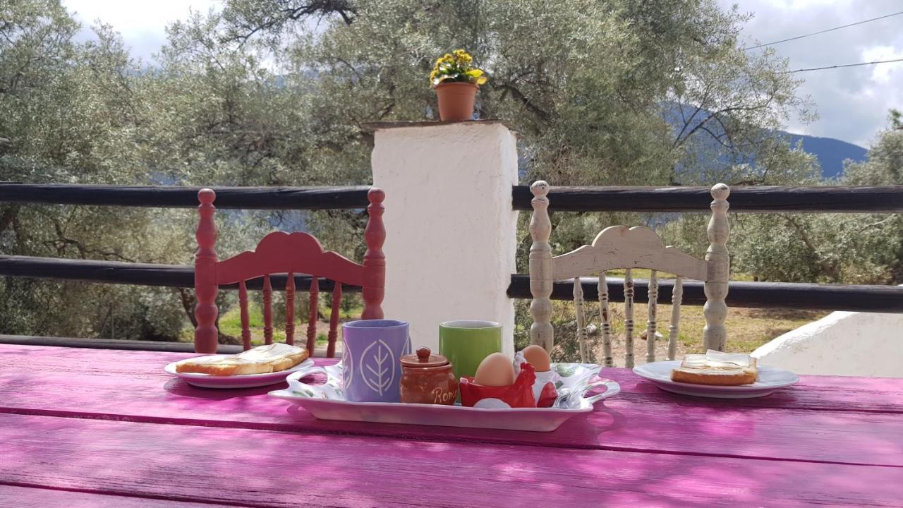 Gateway To The Alpujarras, 'Cortijo Derry' Orgiva Exterior photo