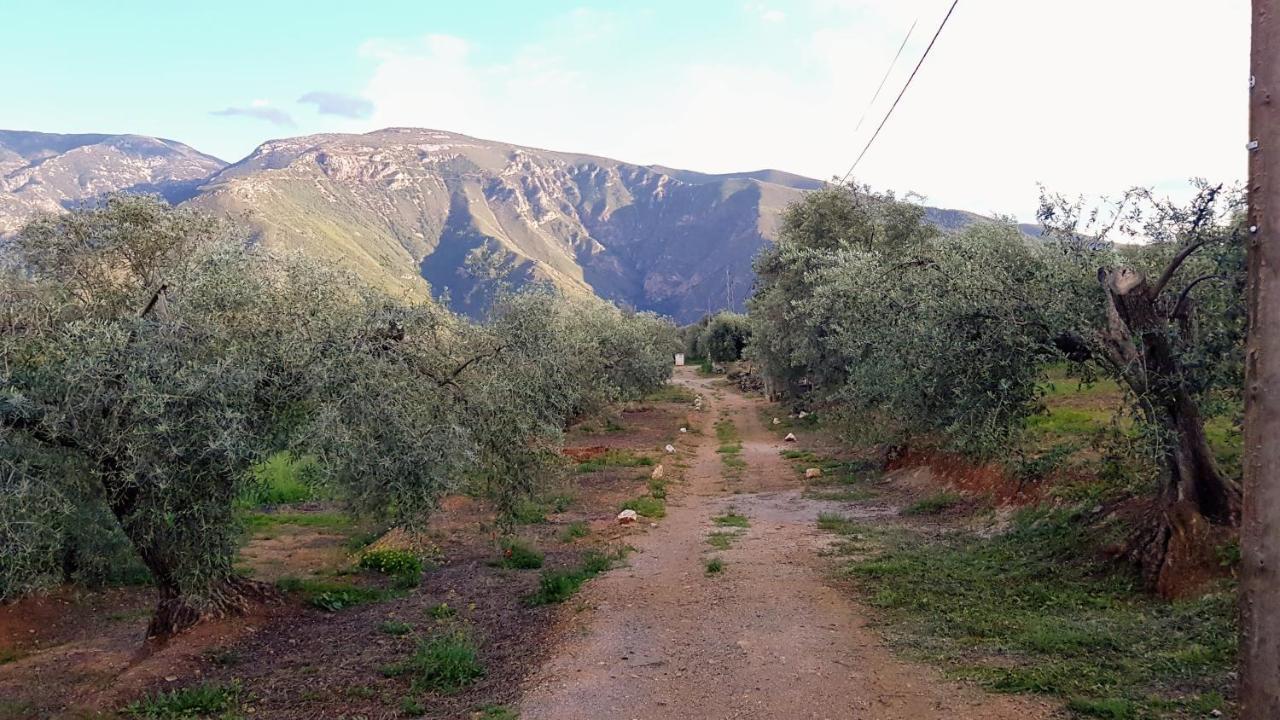 Gateway To The Alpujarras, 'Cortijo Derry' Orgiva Exterior photo