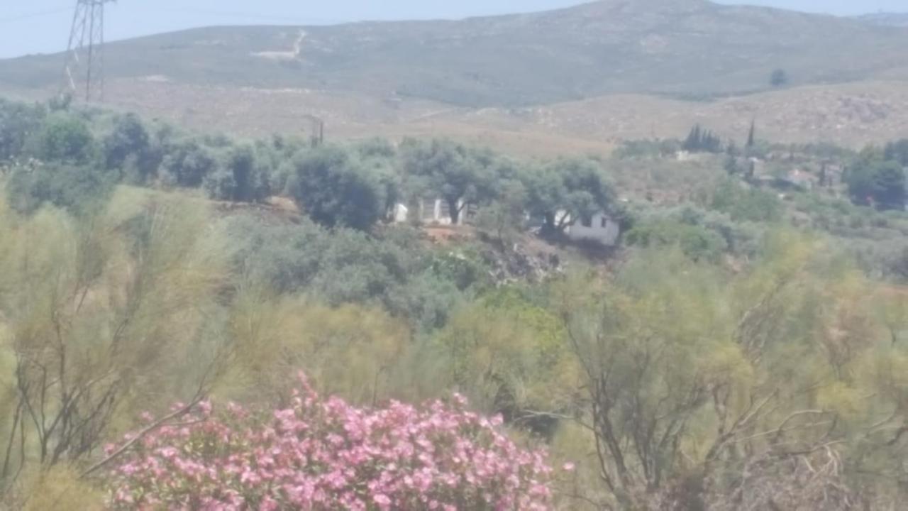Gateway To The Alpujarras, 'Cortijo Derry' Orgiva Exterior photo