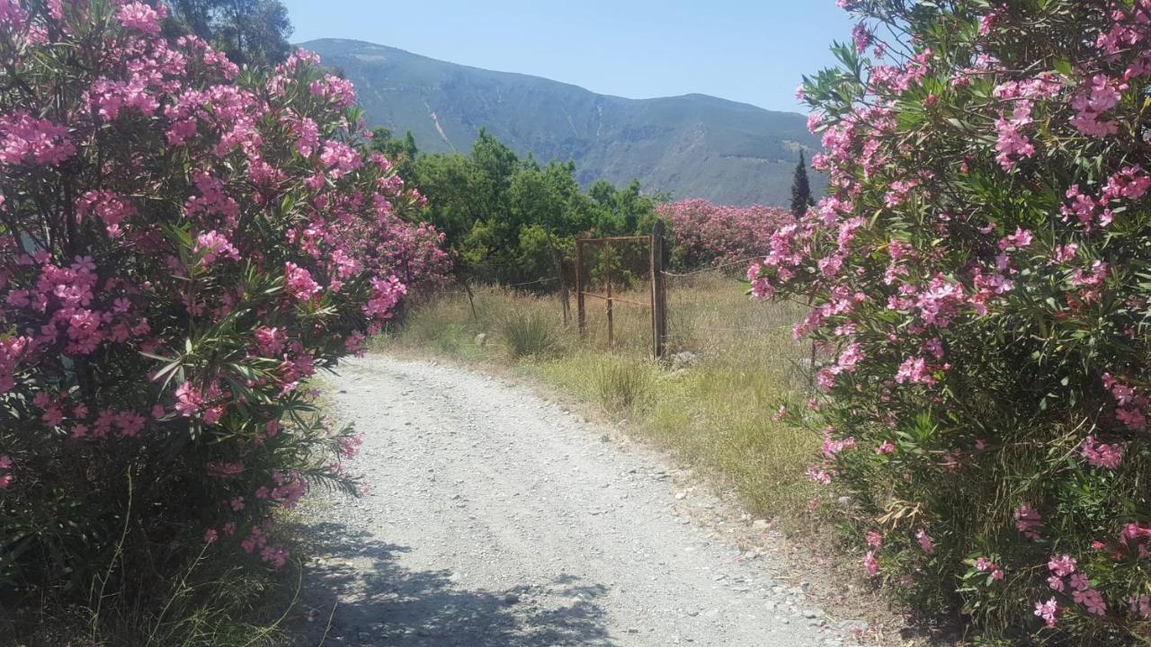 Gateway To The Alpujarras, 'Cortijo Derry' Orgiva Exterior photo